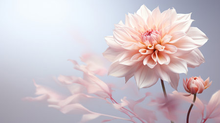 Beautiful Romantic scene - pink flower blossom in nature garden with clear sky, copy space.の素材