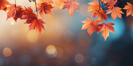 closeup colorful autumn bright autumn leaf, beautiful serene scenery, copy space for greeting card.の素材