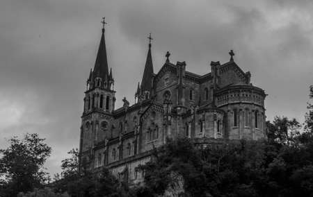 gothic church in the forestの写真素材