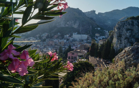 flowers, town and mountain backgroundの写真素材