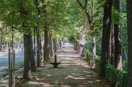 Madrid / Spain - 07 23 20: perspective of quiet area at Retiro park in the summerのeditorial素材