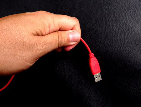 hand holding red usbの写真素材