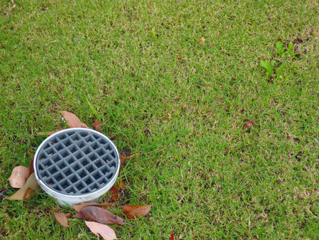 drain in the lawn