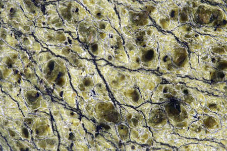 Serpentine stone texture backgroundの写真素材