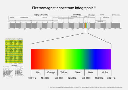 Vector infographic illustration of electromagnetic spectrum from infra sounds to gamma raのイラスト素材