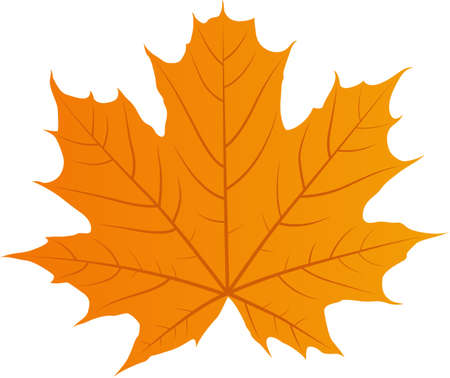 Autumn tree leaf vector iconのイラスト素材