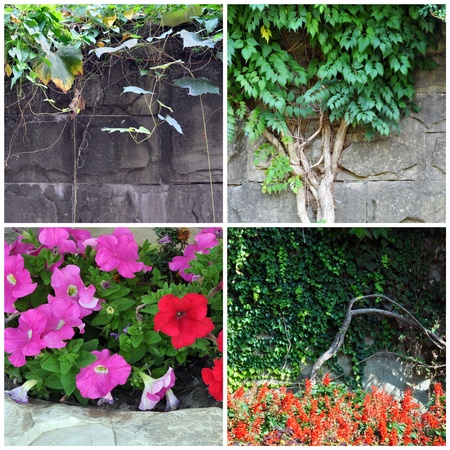 Set natural photo: flowers, plants and stone wallの写真素材