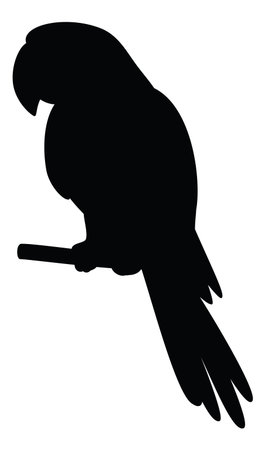 Clever speaking parrot sits on a wooden pole, black silhouette on white background  のイラスト素材
