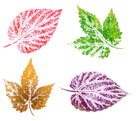 Hop leaves, abstract oil painting, isolated on white background