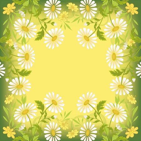 Floral yellow and green holiday background with chamomile flowers  Vectorのイラスト素材