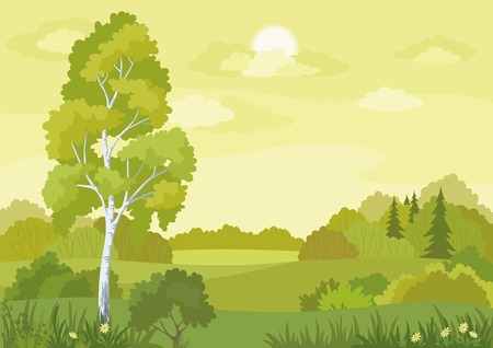 Woodland landscape with birch, fir trees and flowers  Vectorのイラスト素材