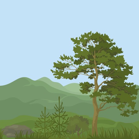 Seamless, summer mountain landscape with pine trees, firs, green grass and blue sky. Vectorのイラスト素材