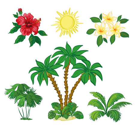 Exotic Set, Sun, Palm Trees, Hibiscus and Plumeria Flowers, Green Plants and Leaves Isolated on White Background. Vectorのイラスト素材