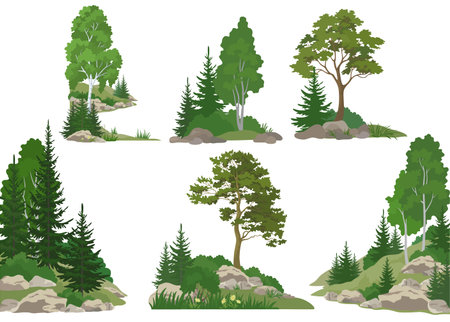 Set Landscapes, Isolated on White Background Coniferous and Deciduous Trees, Flowers and Grass on the Rocks. Vectorのイラスト素材
