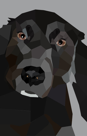 Dog Newfoundland in a low poly design black and white portrait of a dog in polygon styleのイラスト素材