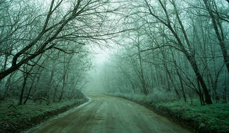 Landscape with beautiful fog. Dirt road go through on a mysterious winter forest, Magical and mystical atmosphere.の写真素材