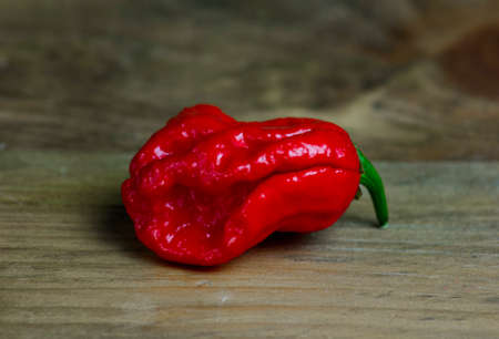 Close up photo of Trinidad Moruga Scorpion (Capsicum chinense) chili pepper. Shiny bright red color. Brown and gray wood background.の写真素材