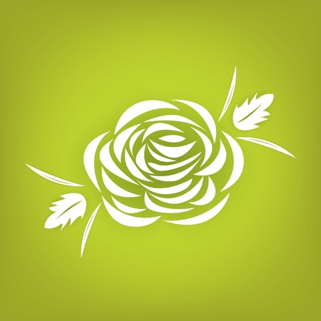 drawing of white rose  のイラスト素材