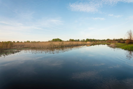 Rural river landscape with rings in water. Summer time.