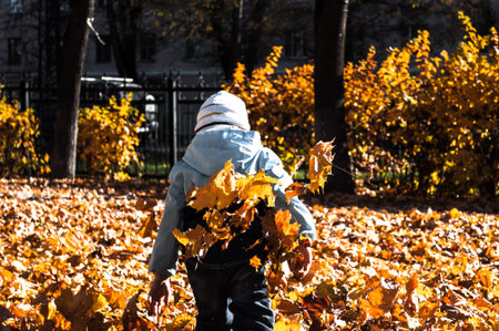 Photo of the boy from the back. Autumn, a boy and leaves trees. Indian summer. Gold and yellow...
