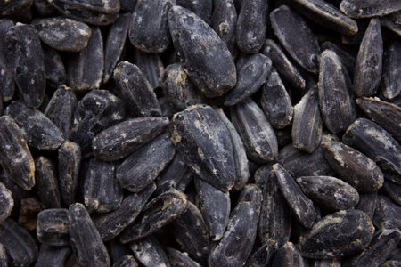 A texture with roasted sunflower seeds.