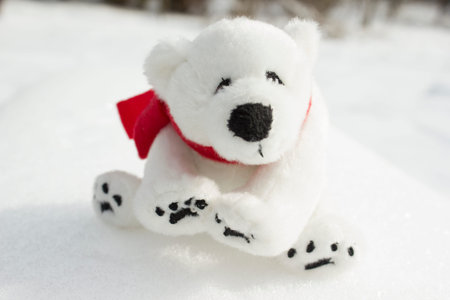 Toy teddy bear with red scarf sitting in the snow.の写真素材
