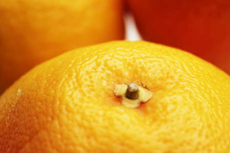 Fresh composition of yellow and red grapefruits.の写真素材