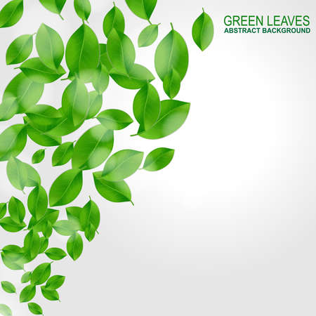 Background with fresh green leaves のイラスト素材