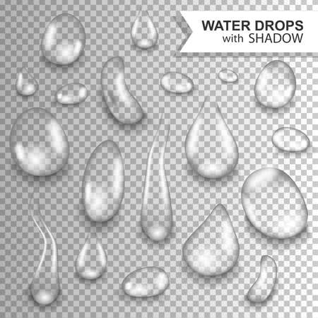 Drops of water on a transparent backgroundのイラスト素材