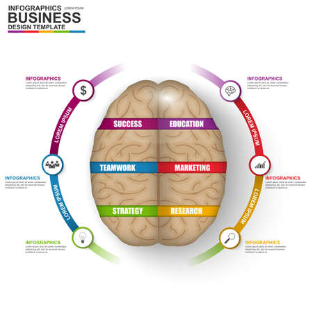 Infographics brain vector design templateのイラスト素材