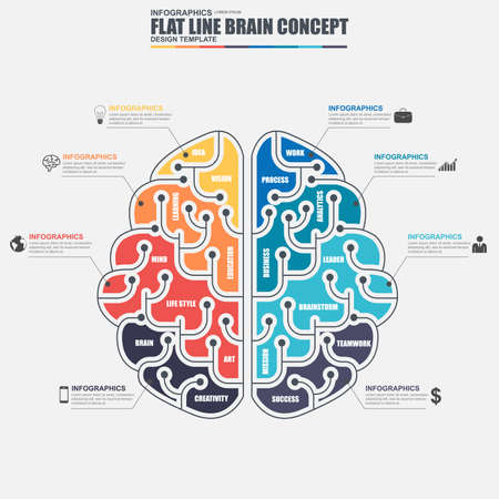 Thin line flat business brain infographic elements vector template. Can be used for workflow, business solution concept, brainstorming, education, creative process, diagram, chart, data visualization.のイラスト素材