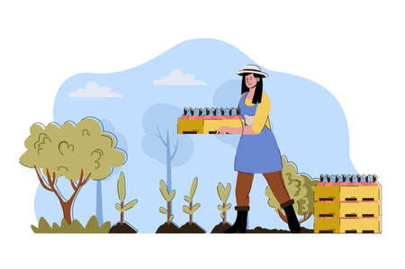 Fruit planting concept. Woman holding box of seedlings and planting fruit tree situation. Gardening, farming people scene. Vector illustration with flat character design for website and mobile siteのイラスト素材