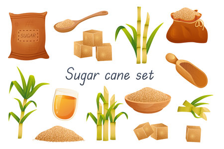 Sugar cane 3d realistic set. Bundle of bags, sugar cubes, granular sweetener on spoon or plate, sugarcane leaf plants, rum alcoholic liquid in glass and other isolated elements.Vector illustrationのイラスト素材