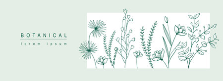 Botanical abstract background with floral line art design. Horizontal web banner in minimal style with blooming different flowers, wildflowers, herbs and leaves in frame template. Vector illustration.のイラスト素材