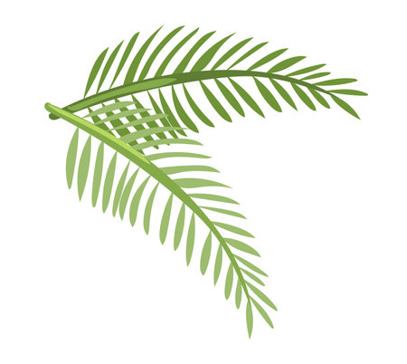 Palm leaves in flat design. Tropical tree green foliage in summer travel. Vector illustration isolated.のイラスト素材