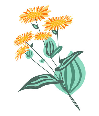 Abstract orange daisy in flat design. Blooming bouquet with green leaves. Vector illustration isolated.のイラスト素材