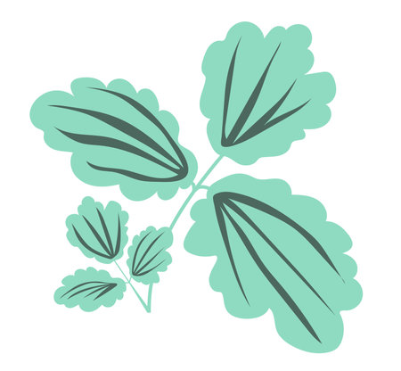 Abstract plantain leaves in flat design. Greenery branch, herbal foliage. Vector illustration isolated.のイラスト素材