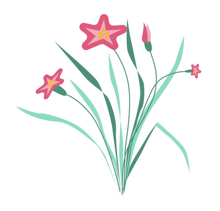Abstract pink narcissus with grass in flat design. Blooming flowers with leaves. Vector illustration isolated.のイラスト素材