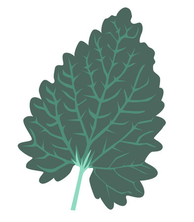Abstract green leaf with veins in flat design. Seasonal forest tree leafage. Vector illustration isolated.のイラスト素材