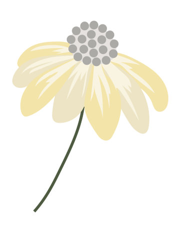 Abstract beige daisy in flat design. Echinacea blossom head on twig. Vector illustration isolated.のイラスト素材