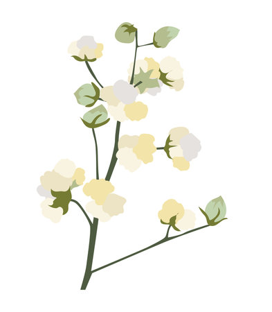 Abstract cotton flowers on branch in flat design. Soft fluffy blossom twig. Vector illustration isolated.のイラスト素材