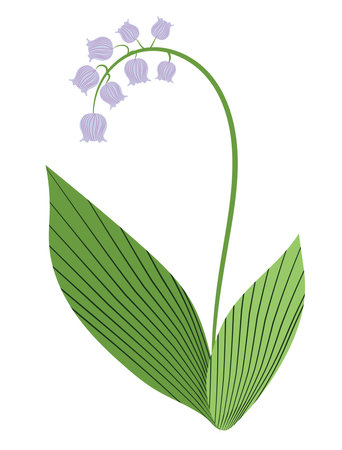 Lily of the valley flower in flat design. Blooming springtime wildflower. Vector illustration isolated.のイラスト素材