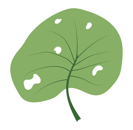 Tropical leaf with holes in flat design. Rounded form exotic foliage. Vector illustration isolated.のイラスト素材