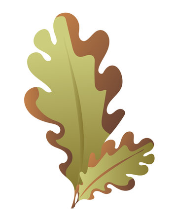 Autumn oak leaves in flat design. Falling green and brown dry leaflet. Vector illustration isolated.のイラスト素材