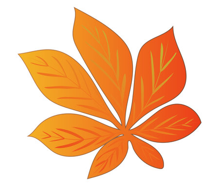 Autumn orange chestnut leaf in flat design. Bright fall herbarium foliage. Vector illustration isolated.のイラスト素材