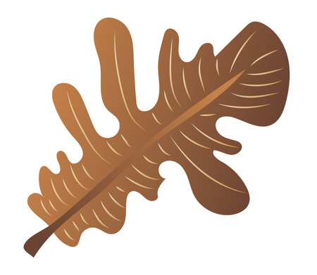 Autumn brown leaf with veins in flat design. Decorative oak foliage. Vector illustration isolated.のイラスト素材