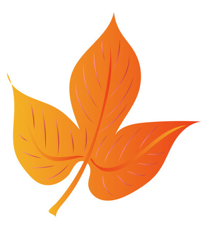 Autumn orange maple leaf in flat design. Decorative foliage with veins. Vector illustration isolated.のイラスト素材