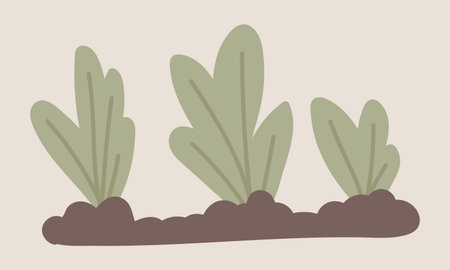 Salad leaves growing in garden soil in flat design. Vegetable farming process. Vector illustration isolated.のイラスト素材