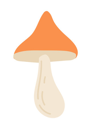 Forest mushroom in flat design. Cute raw autumn fungus with orange cap. Vector illustration isolated.のイラスト素材