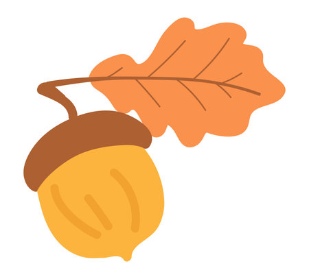 Oak acorn with autumn leaf in flat design. Forest tree nut with brown cap. Vector illustration isolated.のイラスト素材